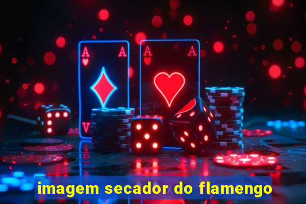 imagem secador do flamengo